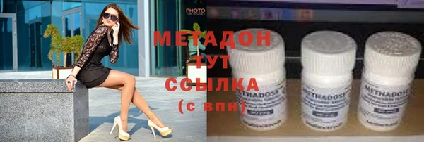 стаф Алзамай
