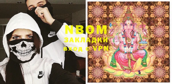стаф Алзамай