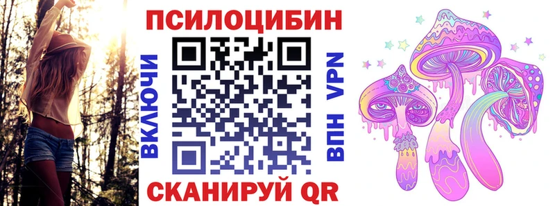 Псилоцибиновые грибы MAGIC MUSHROOMS  закладка  Владимир 