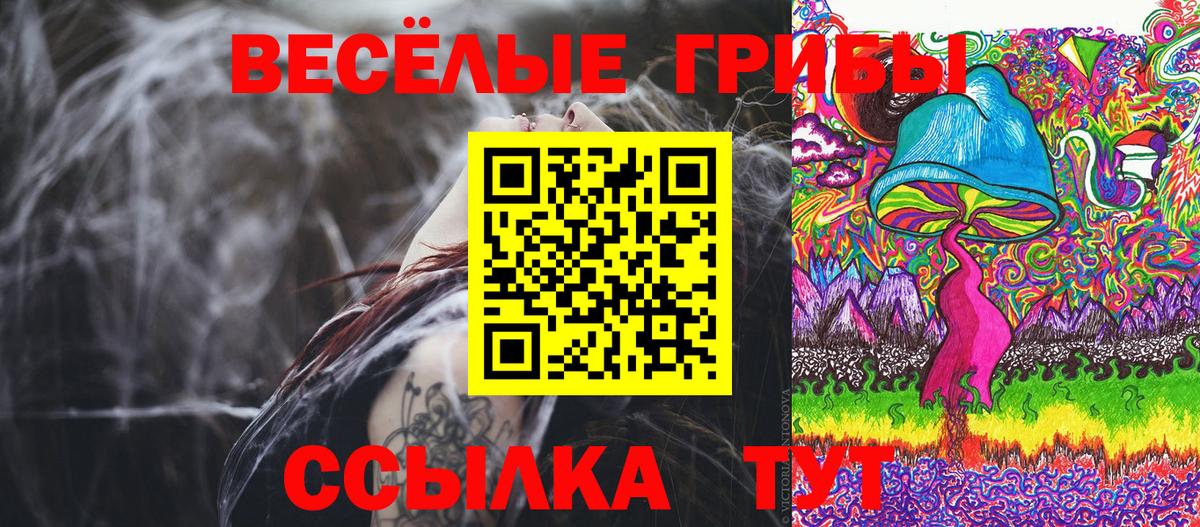 Галлюциногенные грибы Magic Shrooms  Вход с VPN  даркнет сайт  Псилоцибиновые грибы мухоморы  Владимир 